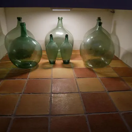 Ca Margalef - Con Encanto Apartment *